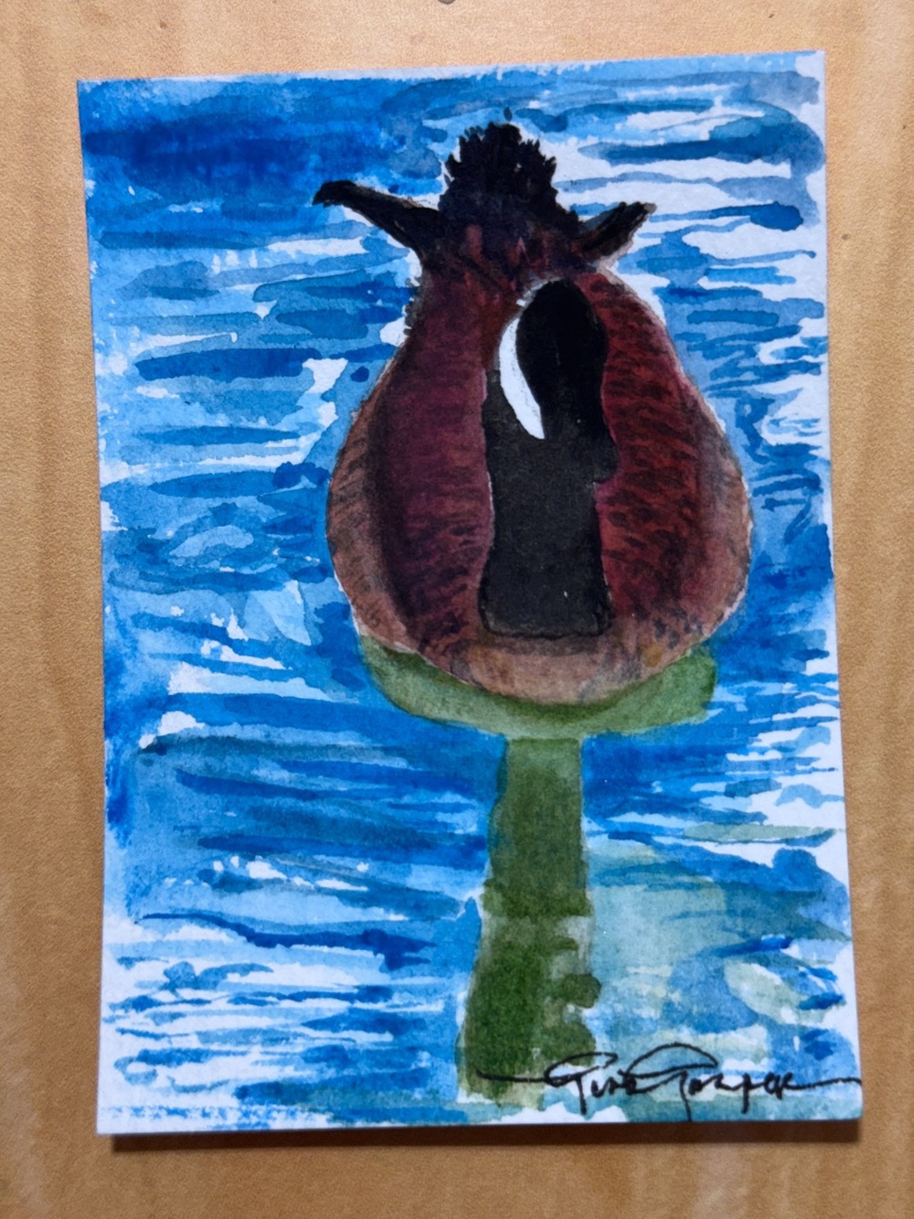 ACEO Original watercolor DUCK AT THE POND